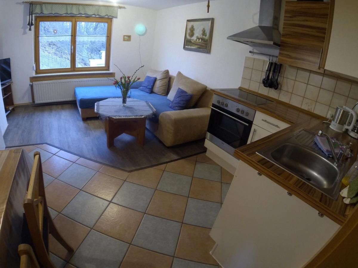 Berghof Apartment Zeulenroda-Triebes Room photo