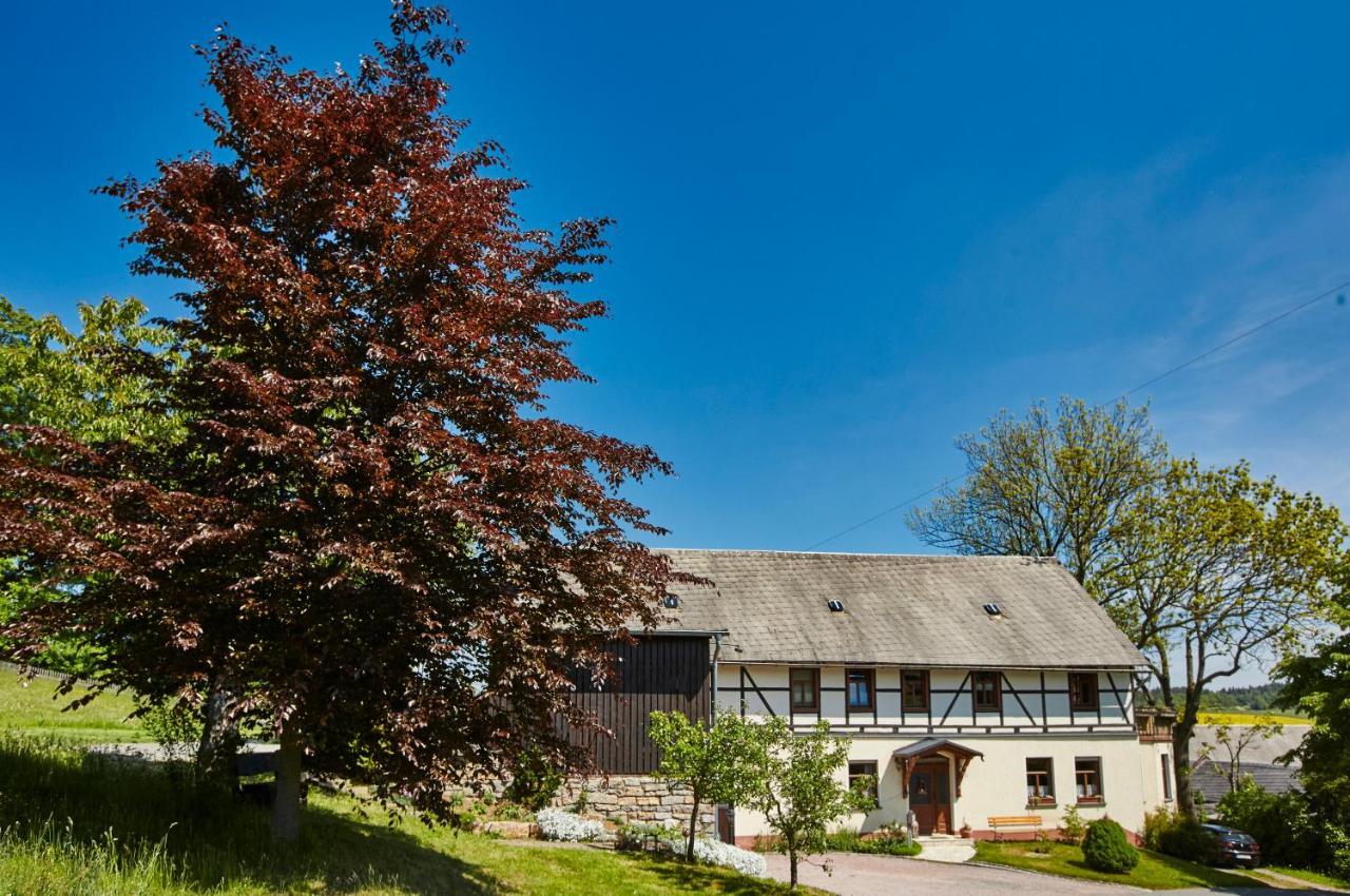 Berghof Apartment Zeulenroda-Triebes Exterior photo